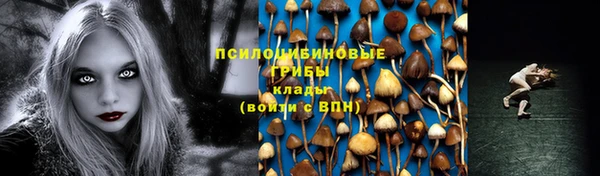 ECSTASY Вязники