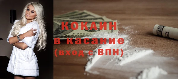 шишки Вяземский