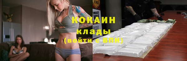 шишки Вяземский