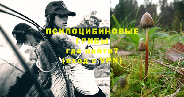 шишки Вяземский
