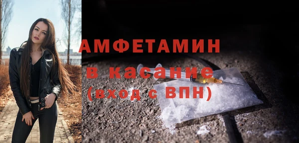 шишки Вяземский