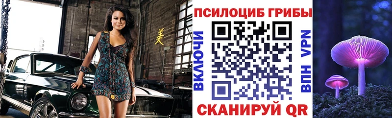 закладка  Артём  Псилоцибиновые грибы прущие грибы 